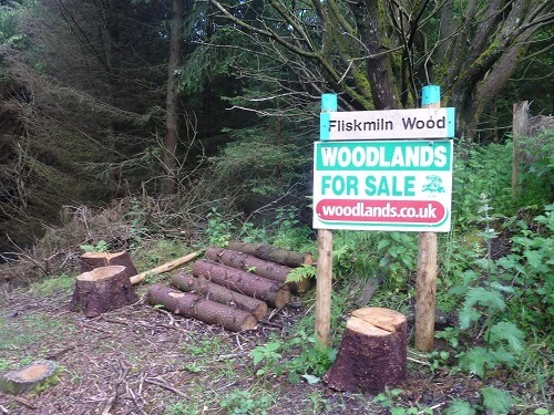 Woodlands for sale